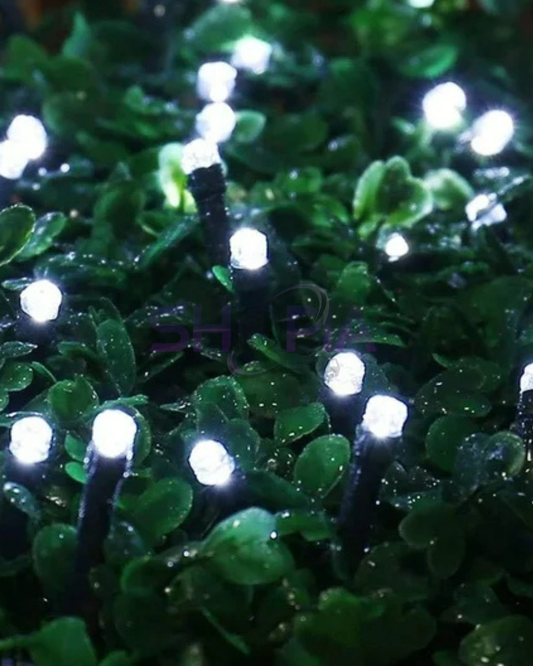 LUCES DECORATIVAS NAVIDEÑAS COLOR VERDE 30M